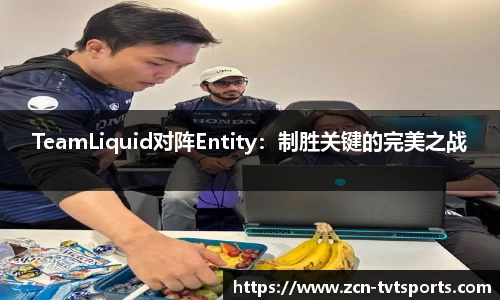 TeamLiquid对阵Entity：制胜关键的完美之战